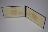Стоимость диплома техникума УзбекАССР 1975-1991 г. в Бабаево (Вологодская Область)