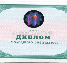 Диплом Техникума Украины 2013г в Вологде